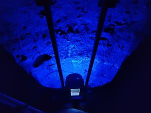 LEDMSI blue light