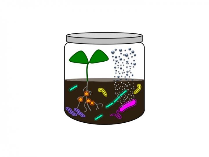 Earth's Microbes