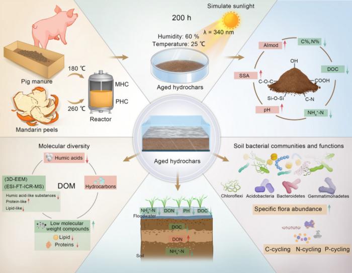 Solar Radiation Aging Enhances Hydrochar’s Soil Remediation Potential by Altering Dissolved Organic Matter and Microbial Communities