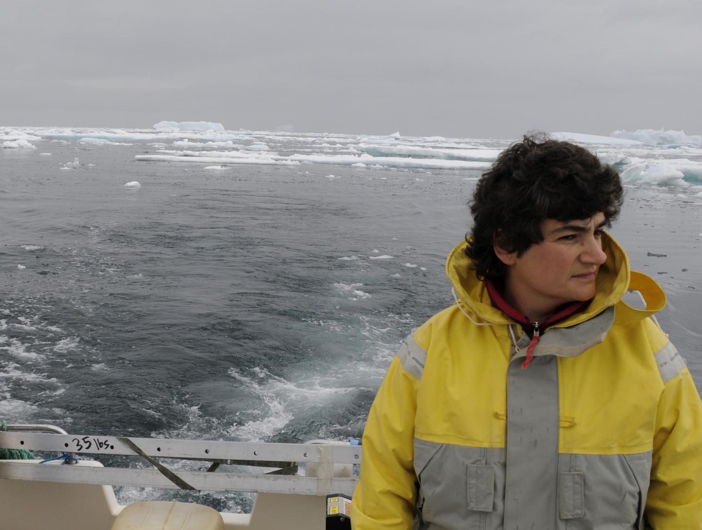 Fiamma Straneo, Woods Hole Oceanographic Institution