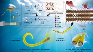 Preparation of CF/MnxMoS2-CNF-based nano-cored-yarn solid-state supercapacitor (NYC) and the energy storage mechanism