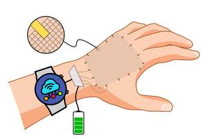 Schematic representation of the new magnetoreceptive eskins.