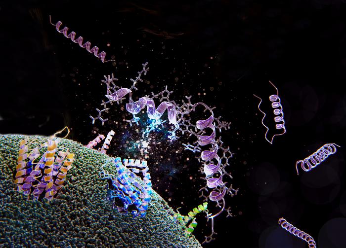 New drug compound targets four hormone receptors controlling food intake and metabolism
