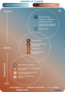 Key drivers of change in river deltas divided into climate/natural and anthropogenic processes