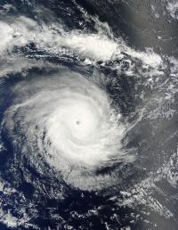 Terra Image of Eunice