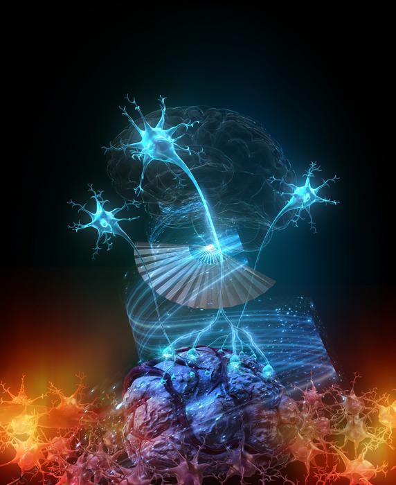 Neuronal Brake