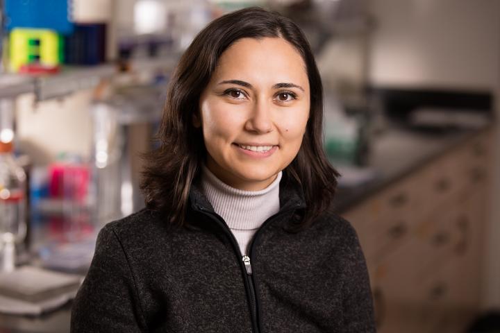 Zeynep Madak-Erdogan, University of Illinois