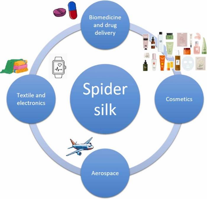 Graphical abstract