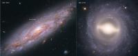 Cepheid Variables