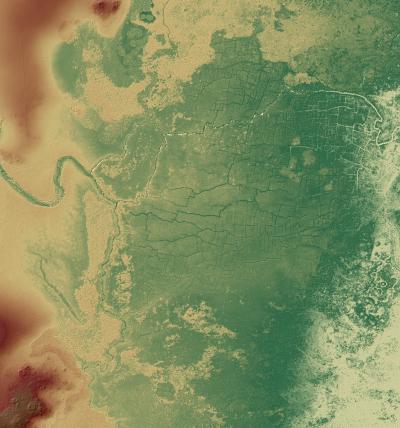 Ancient Maya Wetland Field System at Birds of Paradise