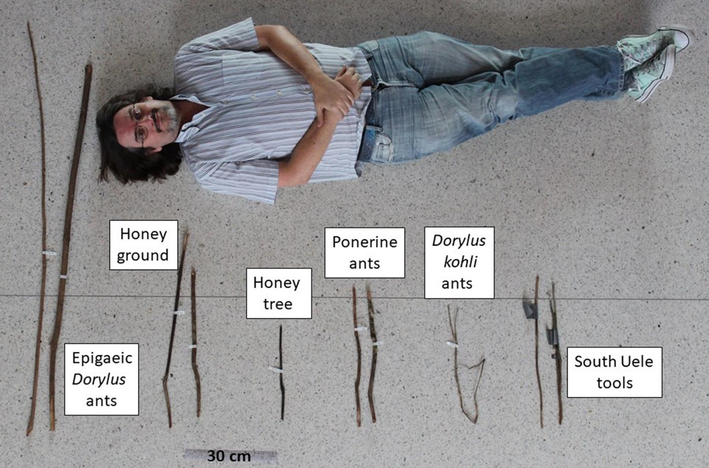 Chimpanzee Tool Kit