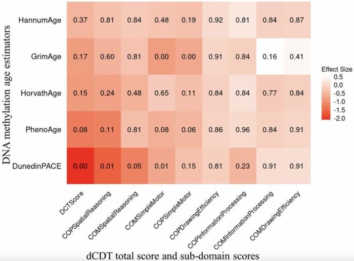 Association of DNA methylation age acceleration with digital clock drawing test performance: the Framingham Heart Study