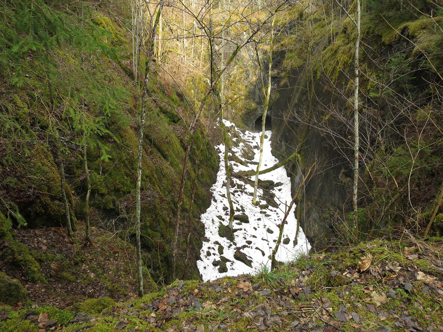 Cold Microclimate