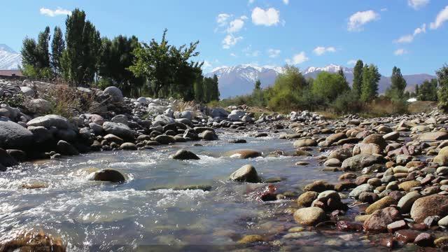 Enzyme Ducts in the Pancreas Are Formed like Rivers