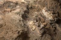 Little Foot Embedded