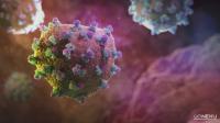 The Hepatitis C Virus (HCV), Circulating in the Blood before It Infects Cells