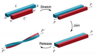 Elastic Interactions