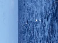 Surface -towed CSEM off Hawai'i Island