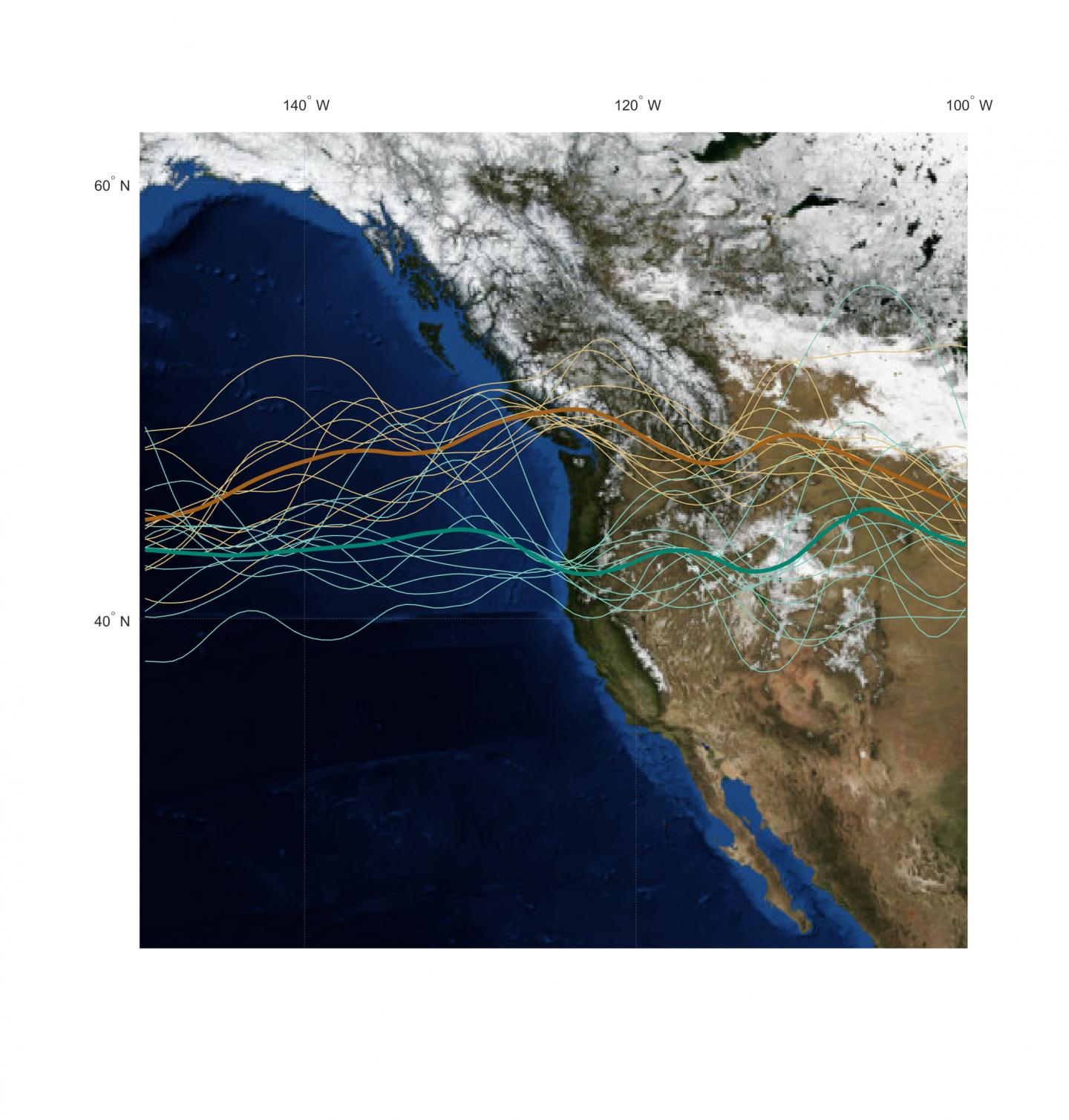 Storm Tracers: Tree Rings Detail Pacific Storm Track Variation in Recent Decades (4 of 8)