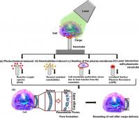 Schematic representation of possible mechanism of photoporation on titanium oxide nanotubes for cargo delivery