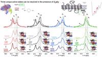 Figure 2. 19F-NMR spectra identifies at least 3 active conformational states (A1, A2, A3)