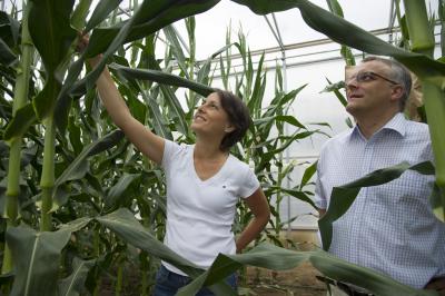 Drs. Anja Paschold and Dr. Frank Hochholdinger, University of Bonn
