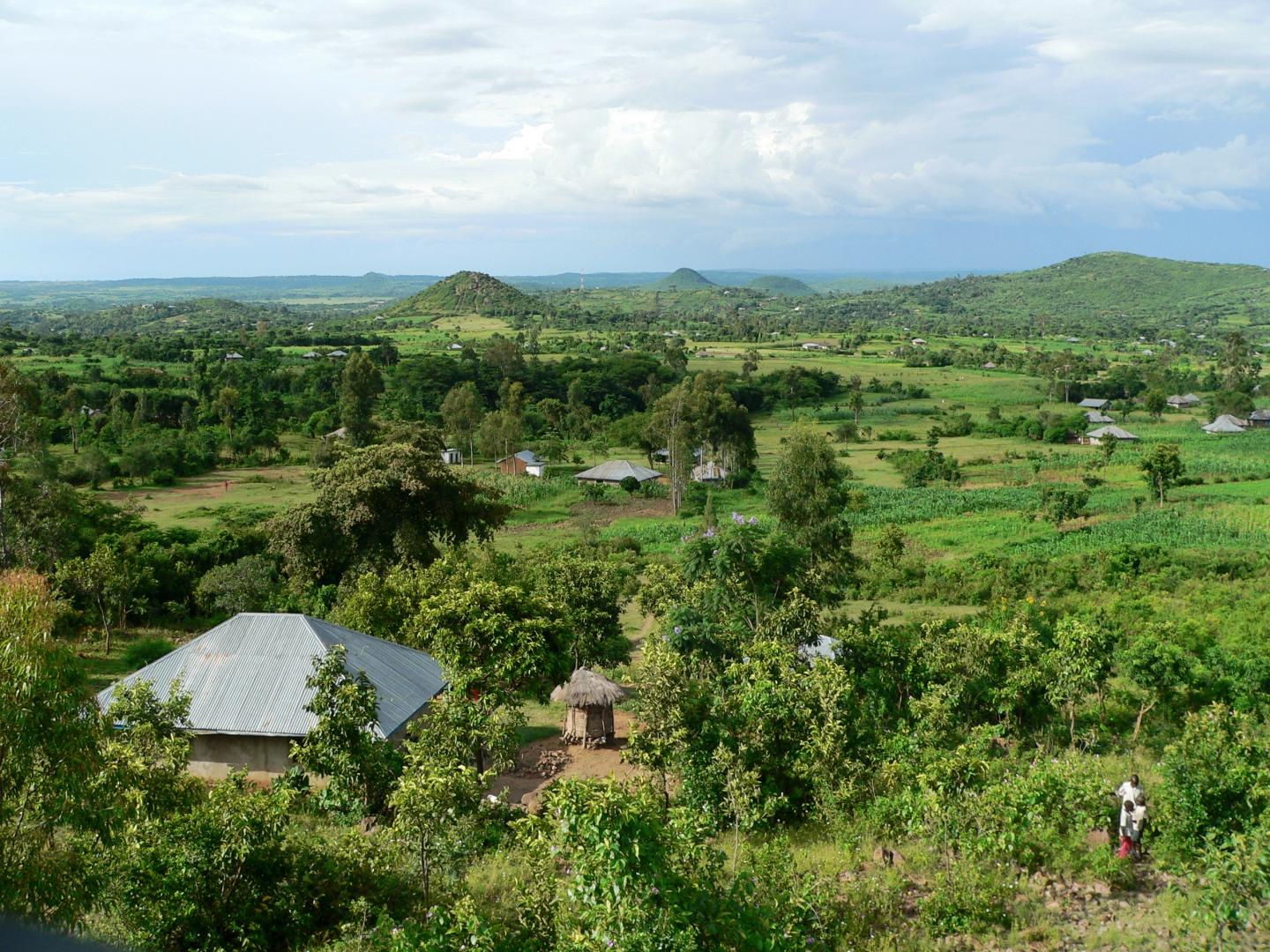 African Landscape