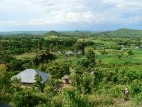 African Landscape