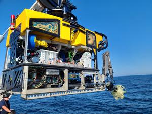 ROV