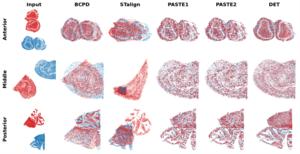 Fig. 2. Aligning maps of mouse brain tissue.