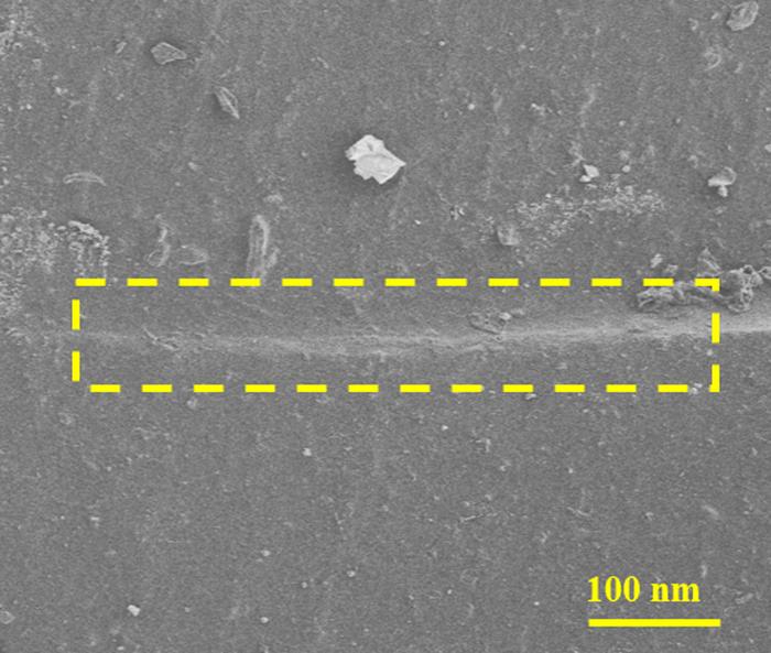 Scanning Electron Mircroscope image of the healed elastomer