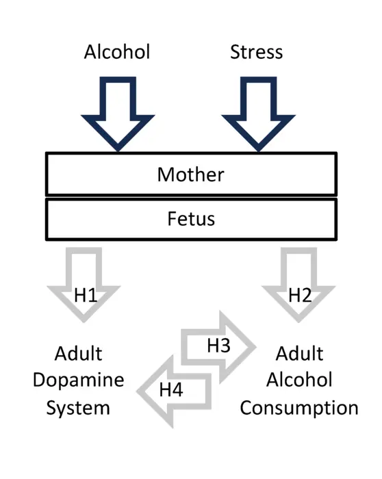 Schematic of experimental approach.