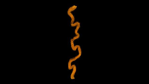 Micro-CT Scan of a Fin Whale VGB Nerve Core