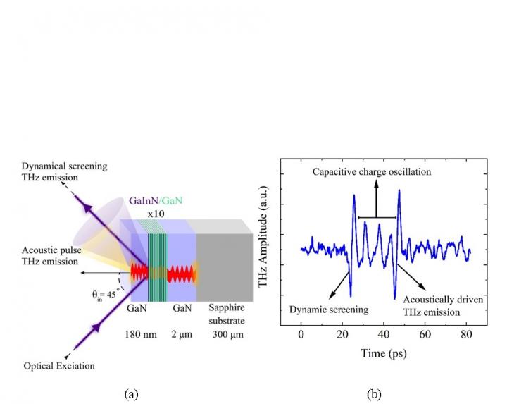 Fig.2