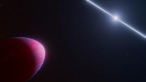 Exoplanet PSR J2322-2650b and Pulsar