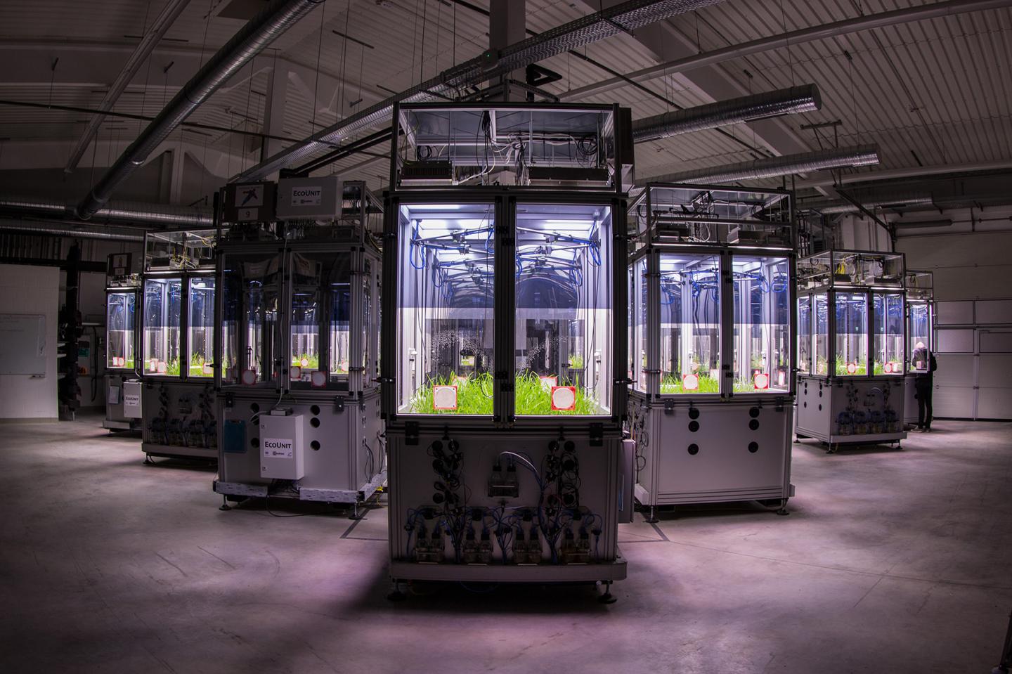 idiv ecotron 1