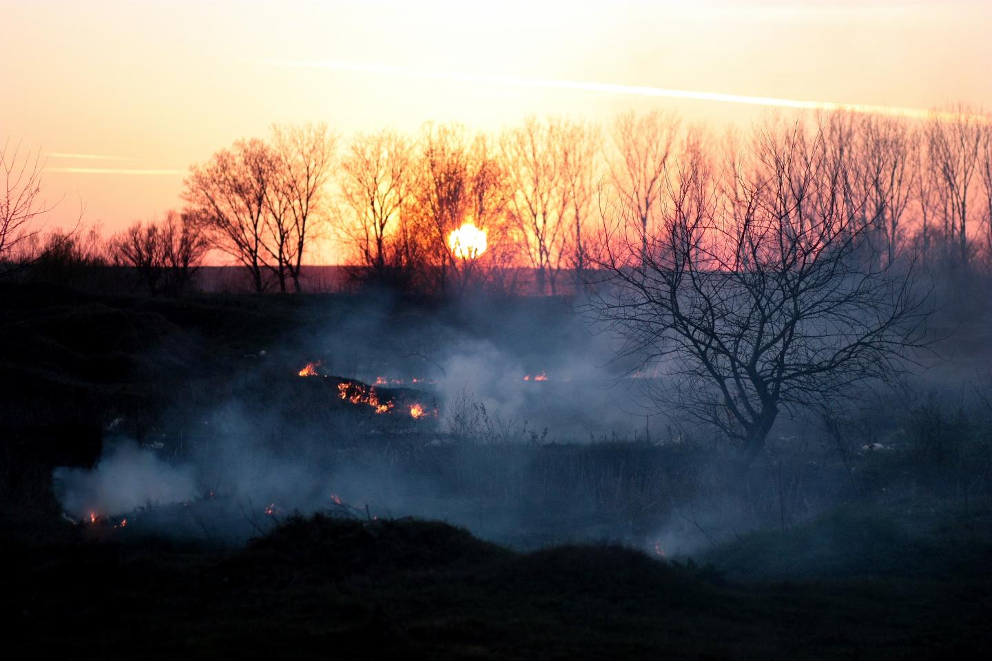 Warming Implications of Brown Carbon Aerosol from Wildfires