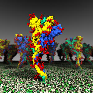 COVID-19 spike with glycosylation