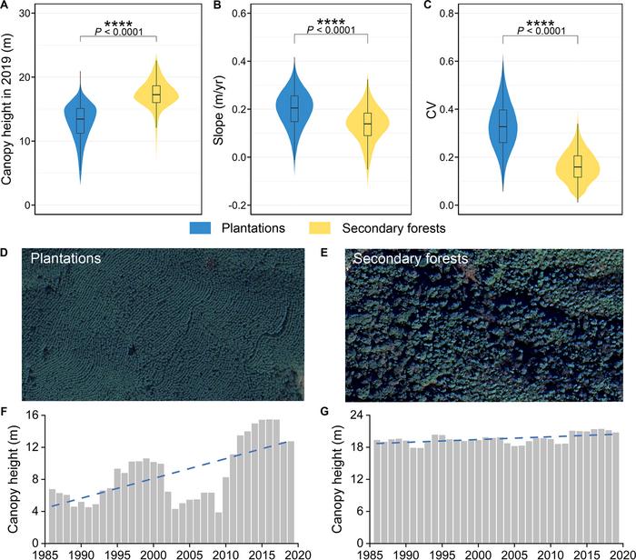 Changes in plantations and secondary forests.