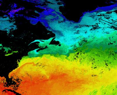 Gulf Stream