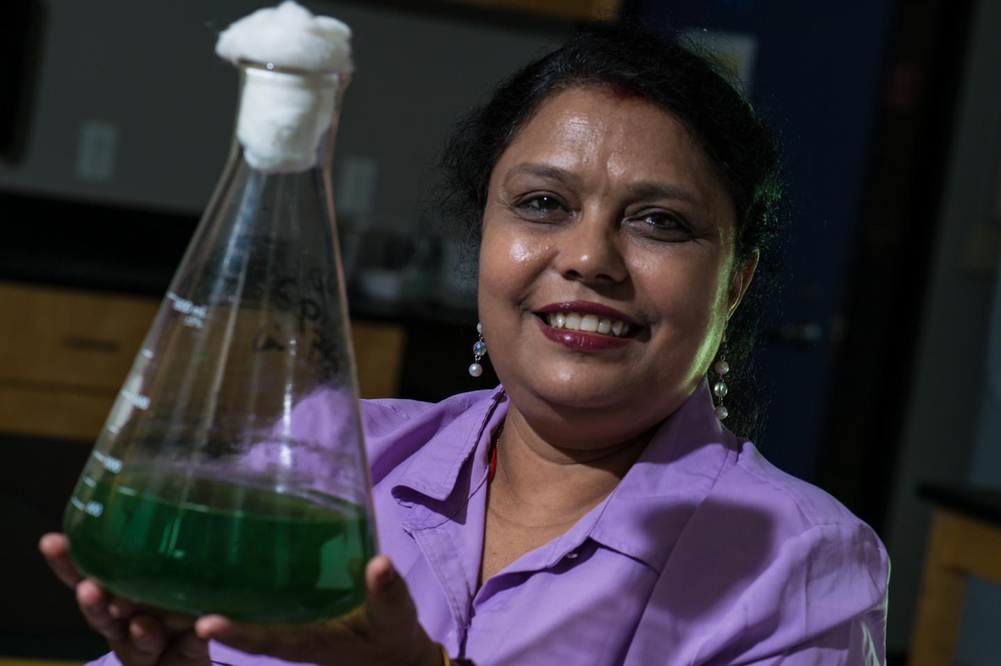 Meenakshi Bhattacharjee, Rice University