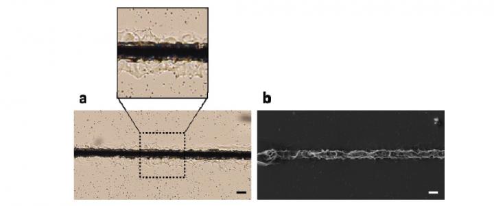 Metal-Silicone Microwires
