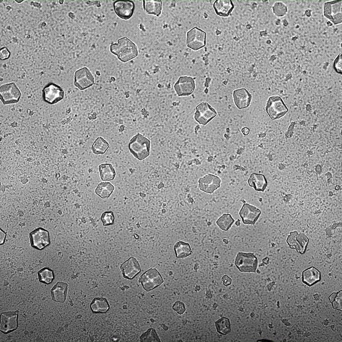 Melting of colloidal crystals
