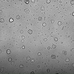 Melting of colloidal crystals