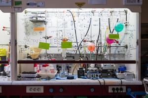 A new class of molecules against cancer cells refractory to standard treatments