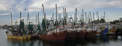 Fshing Boats