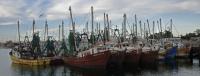 Fshing Boats