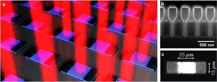 Figure | Nano-ridge surface emitting laser on silicon