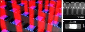 Figure | Nano-ridge surface emitting laser on silicon