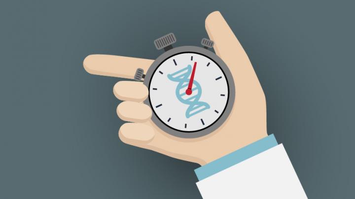 DNA Clock